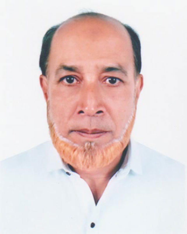 シャムスル アレフィン リトゥ